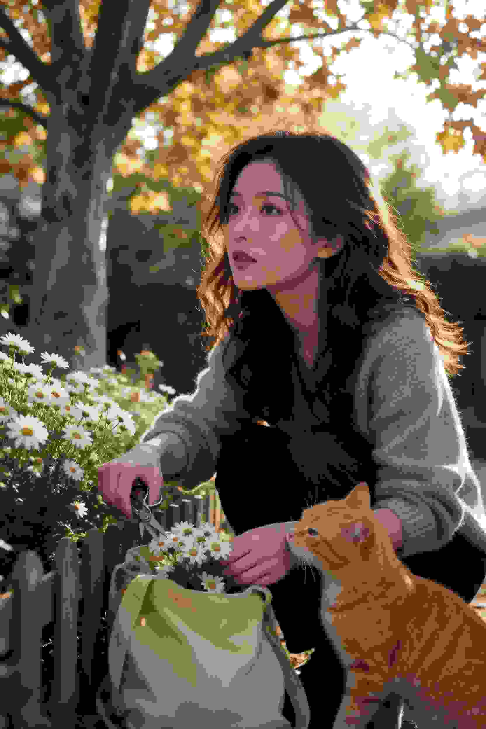 在下坂本有何贵干